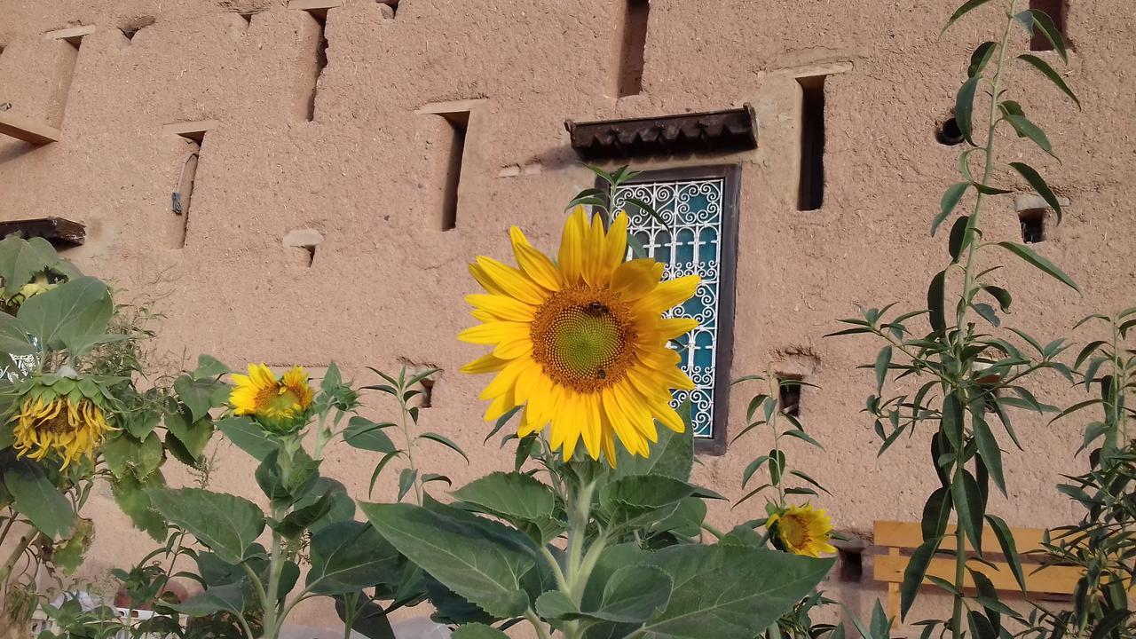 Kasbah Izoran Hotel Midelt Luaran gambar