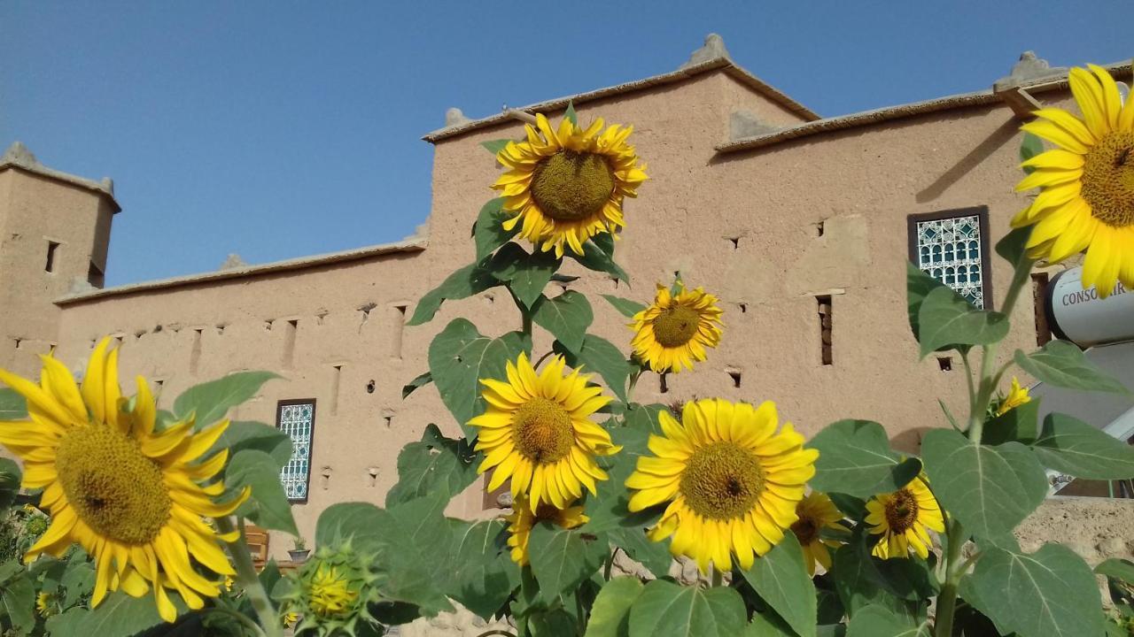 Kasbah Izoran Hotel Midelt Luaran gambar