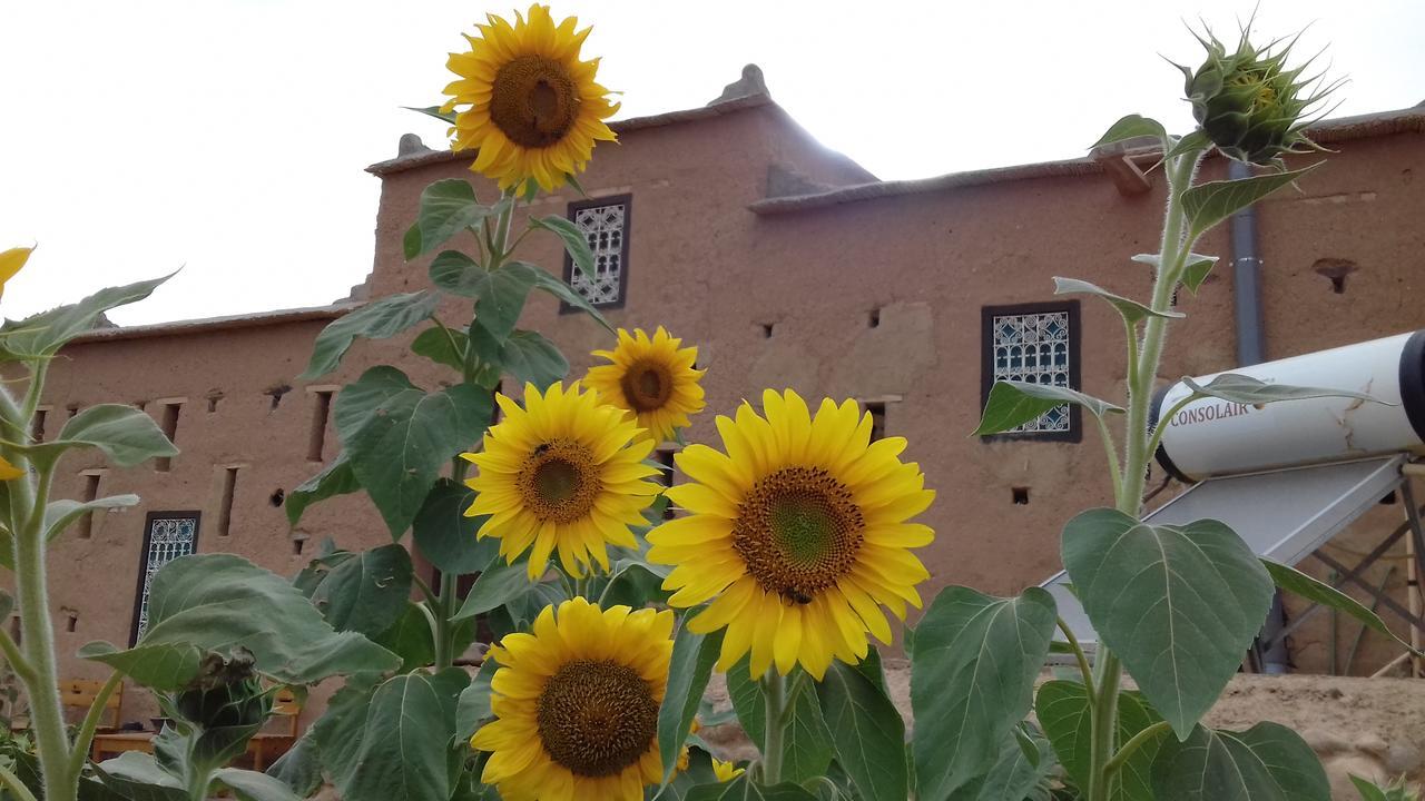 Kasbah Izoran Hotel Midelt Luaran gambar